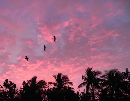 Sunrise Sky in the Florida Keys